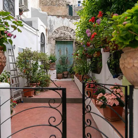 Apartament Il Gatto Franco