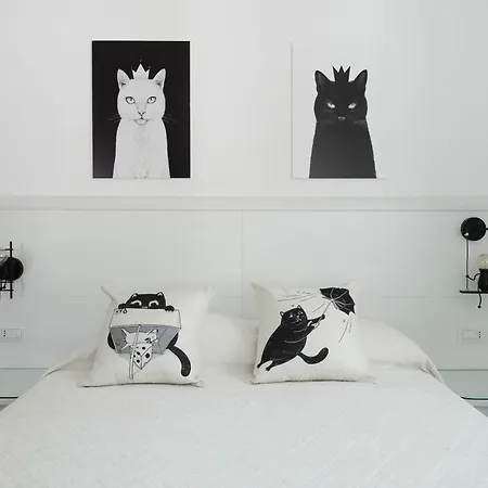 Il Gatto Franco Amalfi